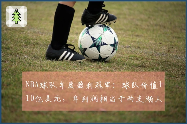 NBA球队年度盈利冠军：球队价值110亿美元，年利润相当于两支湖人队