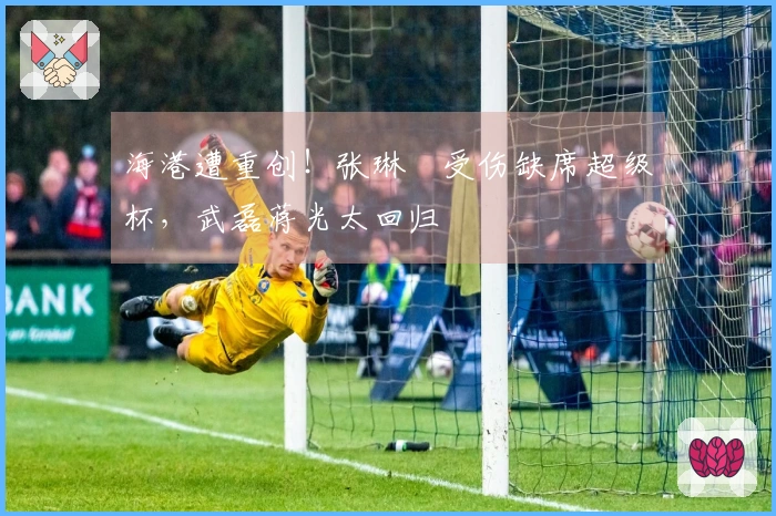 海港遭重创！张琳芃受伤缺席超级杯，武磊蒋光太回归