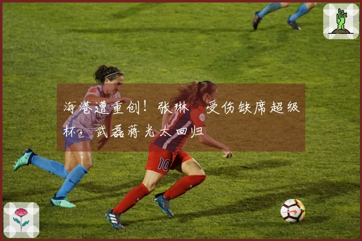 海港遭重创！张琳芃受伤缺席超级杯，武磊蒋光太回归