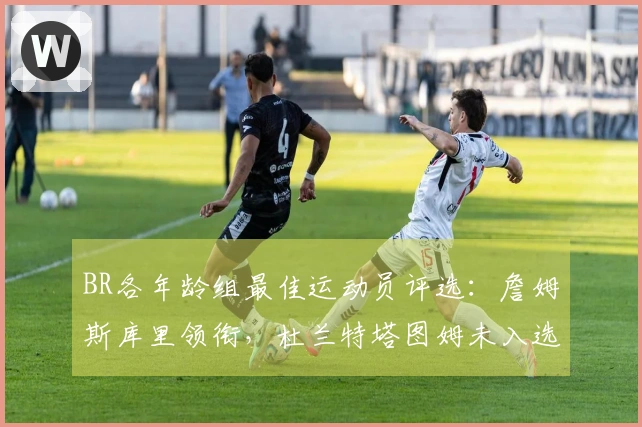 BR各年龄组最佳运动员评选：詹姆斯库里领衔，杜兰特塔图姆未入选