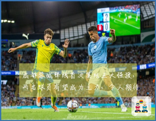 成都蓉城锋线首次集结五大强援，两名球员有望成为主力，令人期待